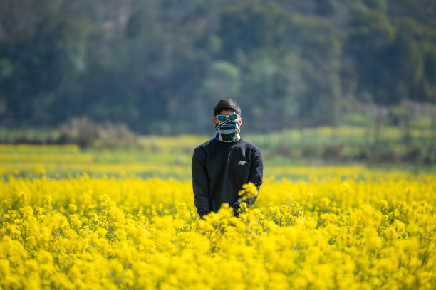 芥末领域图片下载