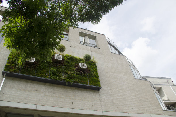 德国建筑外部垂直花园街景斯图加特-巴登-符腾堡市中心户外图片下载