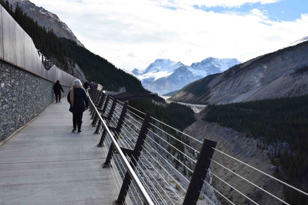 冰川空中步道，贾斯珀国家公园，加拿大亚伯达省，北美，落基山脉，人图片下载