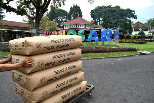 工人们搬运成包的茶叶原料图片下载