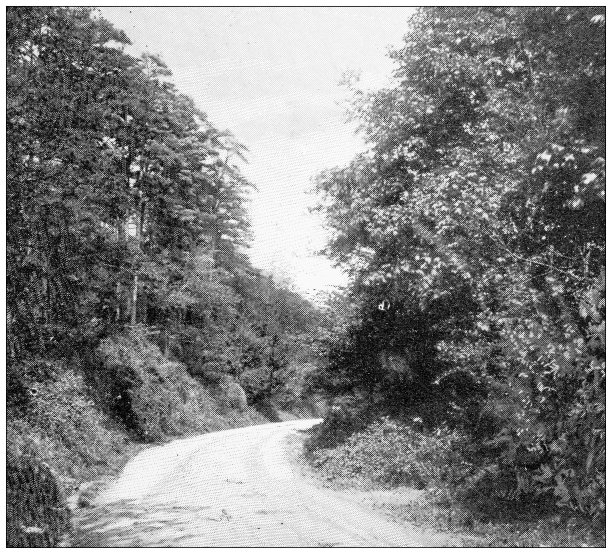 英国古玩旅行照片:乡村公路图片下载