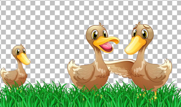 许多鸭子卡通人物在透明上图片下载