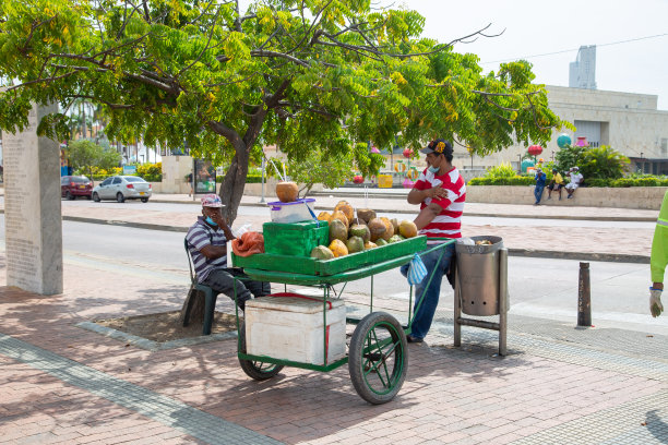 街上卖新鲜椰子和橘子的小贩图片下载