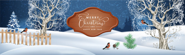 圣诞夜的背景图片下载