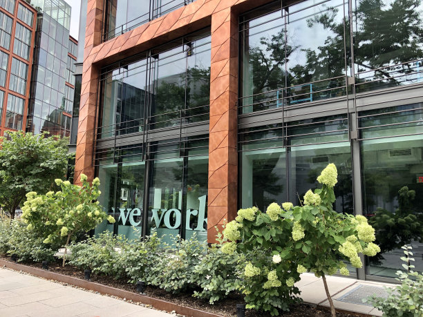 We公司图片下载