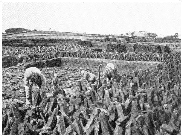 爱尔兰的古董旅行照片:切割泥炭图片下载