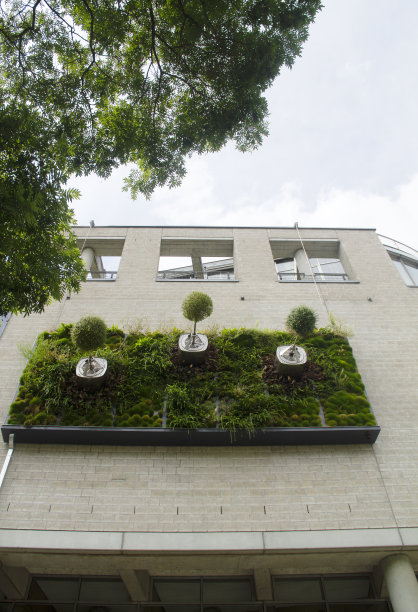 德国建筑外部垂直花园街景斯图加特-巴登-符腾堡市中心户外图片下载