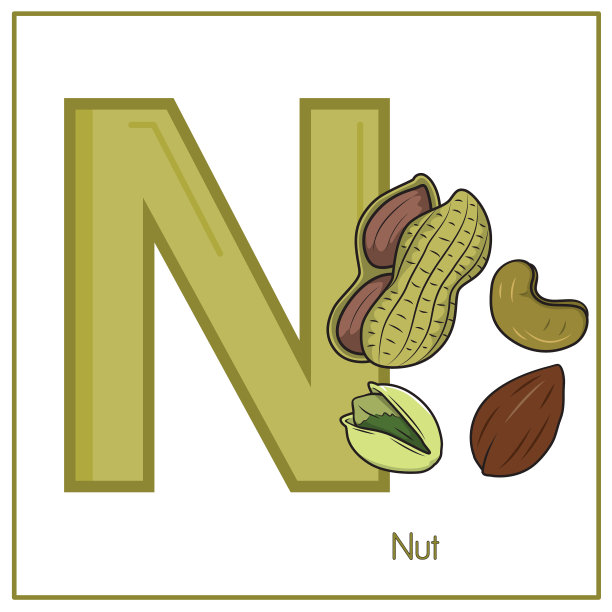 矢量插图的螺母与字母N大写或大写字母的儿童学习实践ABC图片下载