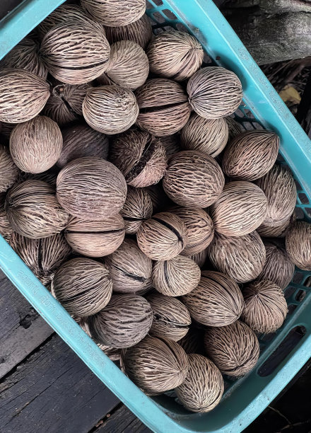 一张木桌上一篮子坚果的照片，花园车里装满坚果，铺着木地板的木甲板。图片下载