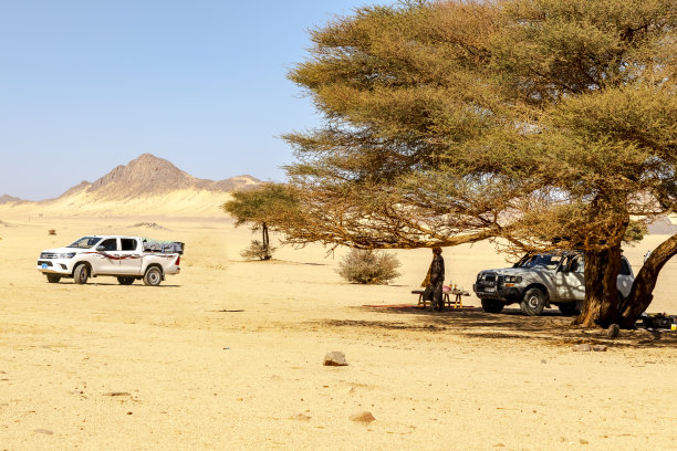 在广阔的雷格沙漠地区的4X4车。图片下载
