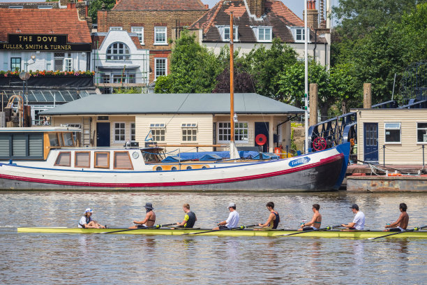 在伦敦哈默史密斯的泰晤士河上做八位舵手图片下载