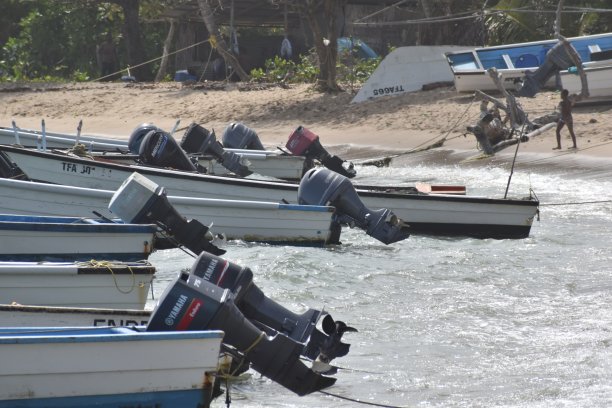 在盐湖湾，托科，特立尼达和多巴哥的捕鱼独木舟或渔船图片下载
