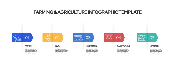 农业和农业概念矢量线信息图表设计与图标。5个选项或步骤演示，旗帜，工作流程布局，流程图等。图片下载