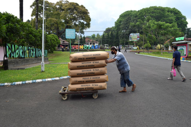 工人们搬运成包的茶叶原料图片下载