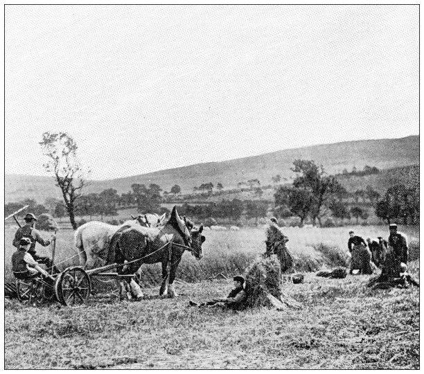 古老的旅行照片的英格兰:农业图片下载