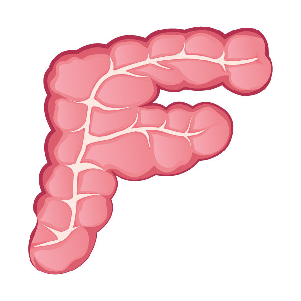 大肠。字母的信图片下载