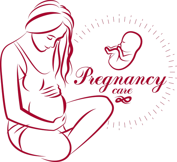 优雅的孕妇身体剪影画图片下载