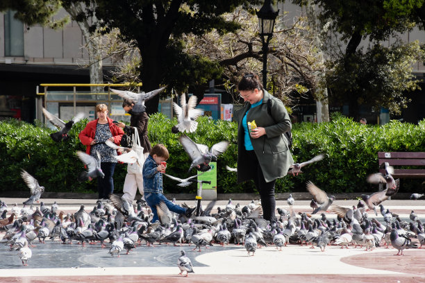 妈妈和她的儿子在玩鸽子图片下载