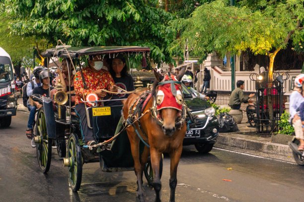 日惹的传统交通工具叫Delman图片下载