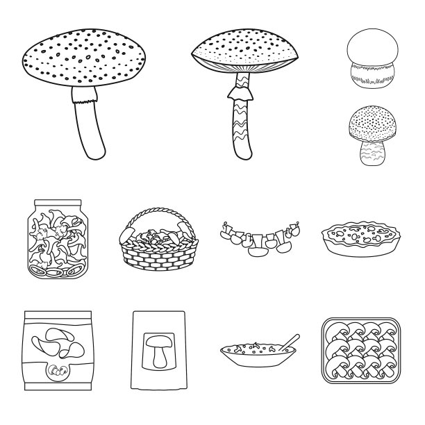 孤立的对象林和新鲜的符号集图片下载