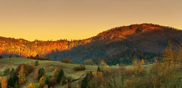 美丽的山景在阳光下闪闪发光。早上戏剧性的场景。喀尔巴阡国家公园，Synevyr pass，乌克兰，欧洲。艺术照片。世界的美丽。温暖的塑身效果。图片下载