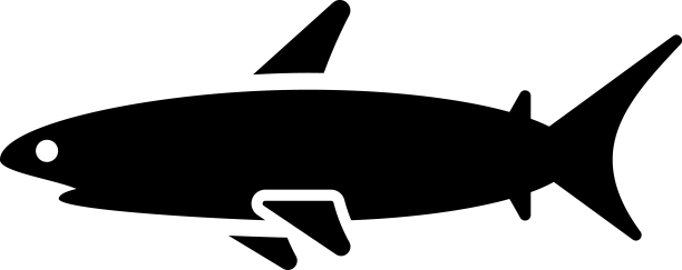 鲨鱼图片下载