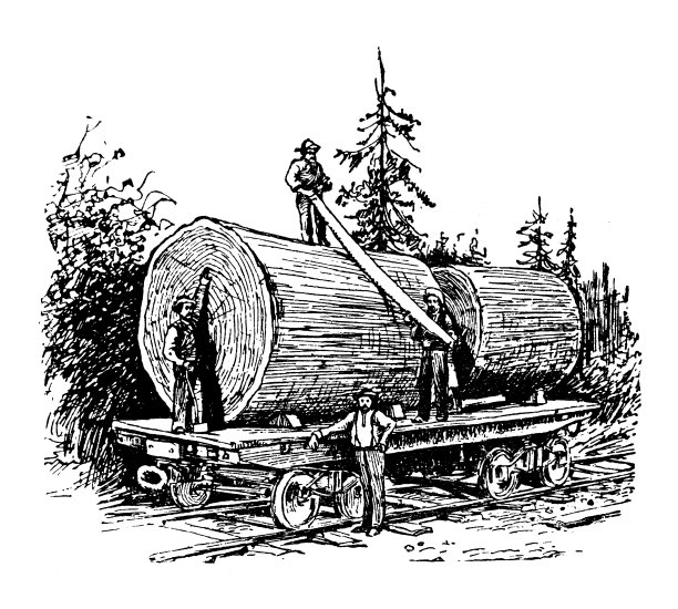 美国古董插图，华盛顿地标和公司:大木材图片下载