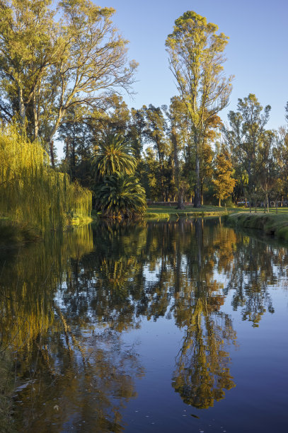 田园诗般的山水如镜，映照着绿树和暖色。照片的格式图片下载