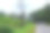 沥青公路被农田包围，覆盖着绿色的树像树隧道，白色的车辆前进，在Kolhapur，印度的股票照片。图片下载