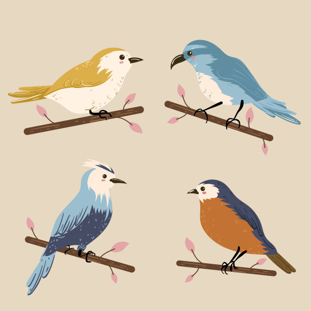 色彩斑斓的鸟集图片下载