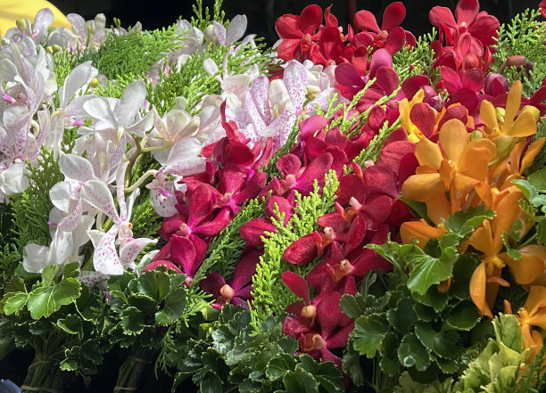 一张桌子上花瓶里一束鲜花的照片，杂货店里五颜六色的鲜花和绿色植物正在出售。图片下载