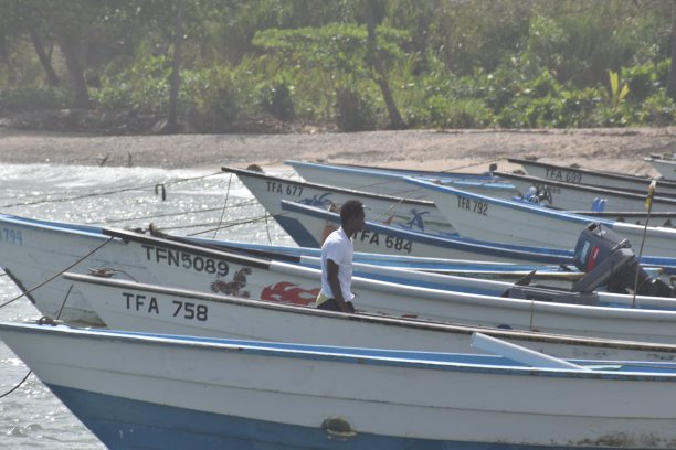 在盐湖湾，托科，特立尼达和多巴哥的捕鱼独木舟或渔船图片下载