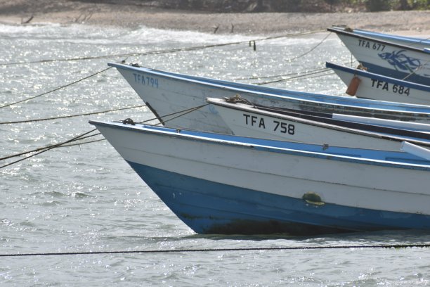 在盐湖湾，托科，特立尼达和多巴哥的捕鱼独木舟或渔船图片下载