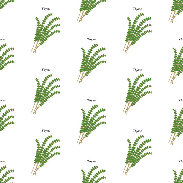 百里香药草无缝图案图片下载