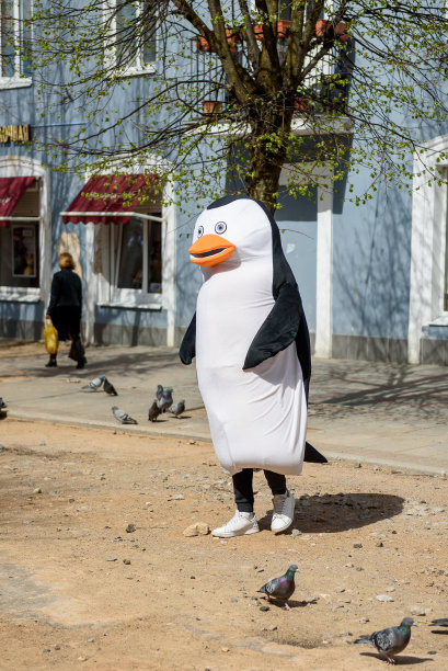 一个穿着企鹅服装的动画师在城市的街道上。在广告公司工作。图片下载