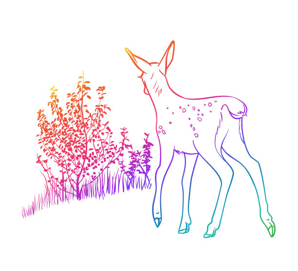 小鹿与丛林彩虹图片下载