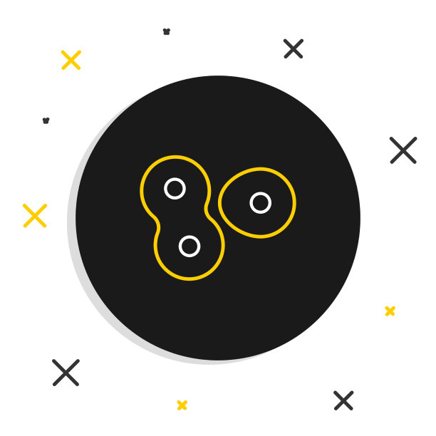 系细胞分裂过程图标分离在白色上图片下载