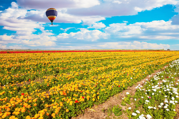 巨型彩色气球图片下载