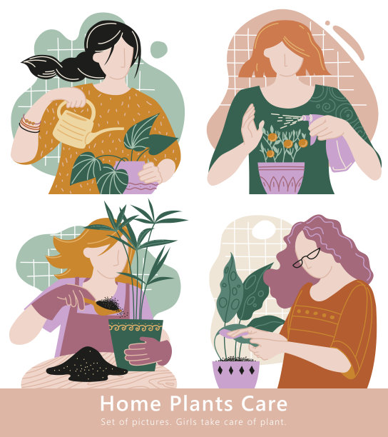 室内植物护理。家工厂。一组图片。女孩们照顾植物。图片下载