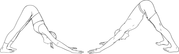 瑜伽下犬式或女svanasana图片下载