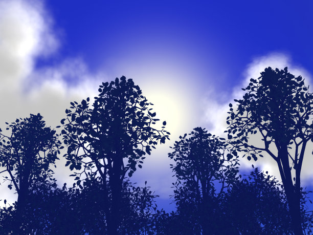 树木和阳光的壮丽景色图片下载