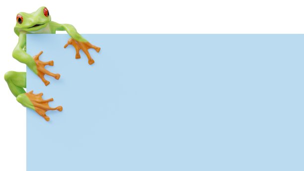 一个有趣的青蛙和一个孤立的窗口或屏幕的展示模板。图片下载