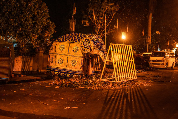 斯里兰卡大象图片(斯里兰卡糖果)图片下载