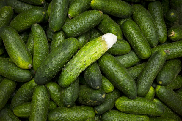 黄瓜在商店图片下载