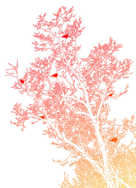 树和鸟儿栖息图片下载