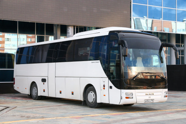 狮子的马车图片下载