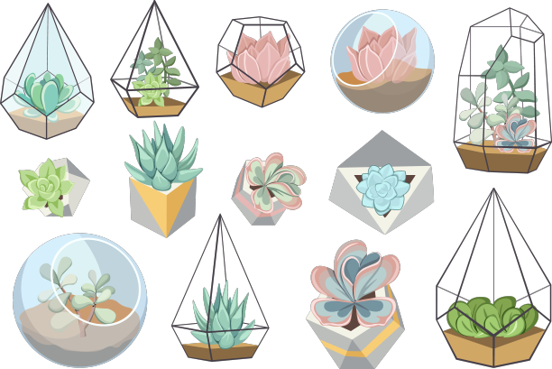 一套由玻璃和混凝土制成的家庭花卉图片下载