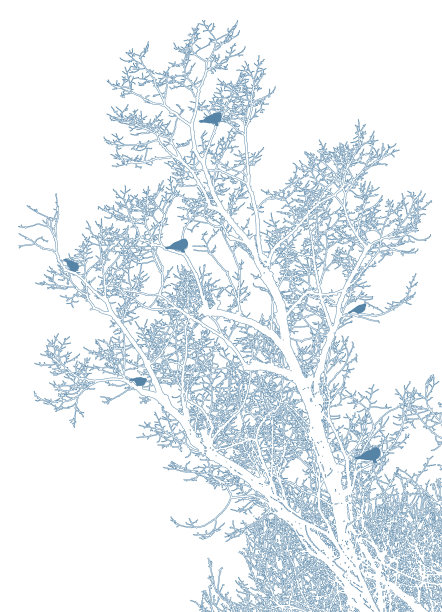 树和鸟儿栖息图片下载