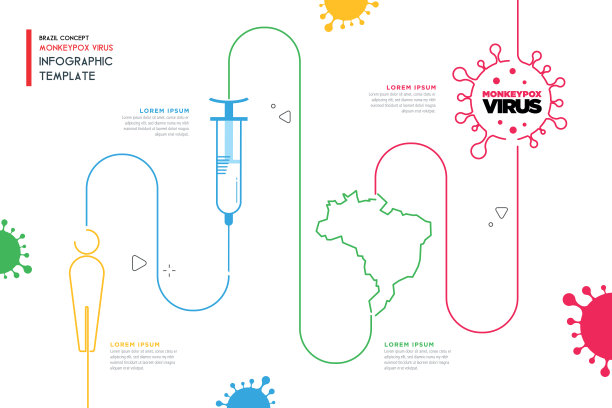 猴痘病毒巴西信息图模板载体库存插图。图片下载