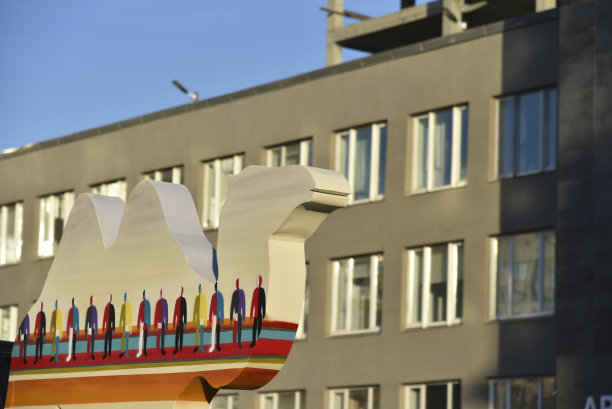 车里雅宾斯克地区装饰性的彩色骆驼图片下载